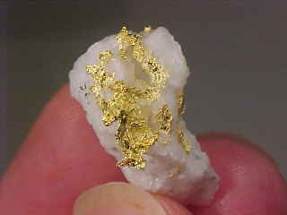 Gold in Quartz